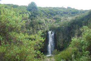 The Aberdares National Park.