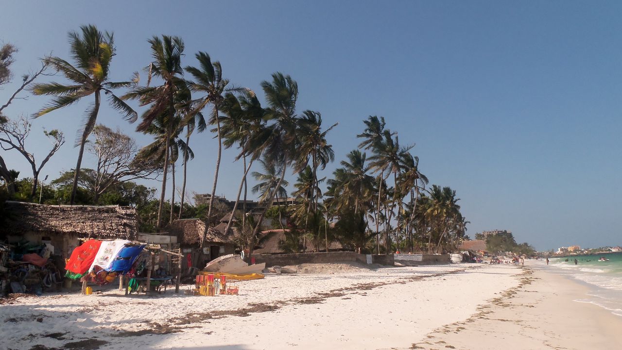 A serene beach with palm trees and bright skies in Mombasa, Kenya.