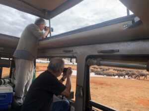 Tsavo East and West National Parks