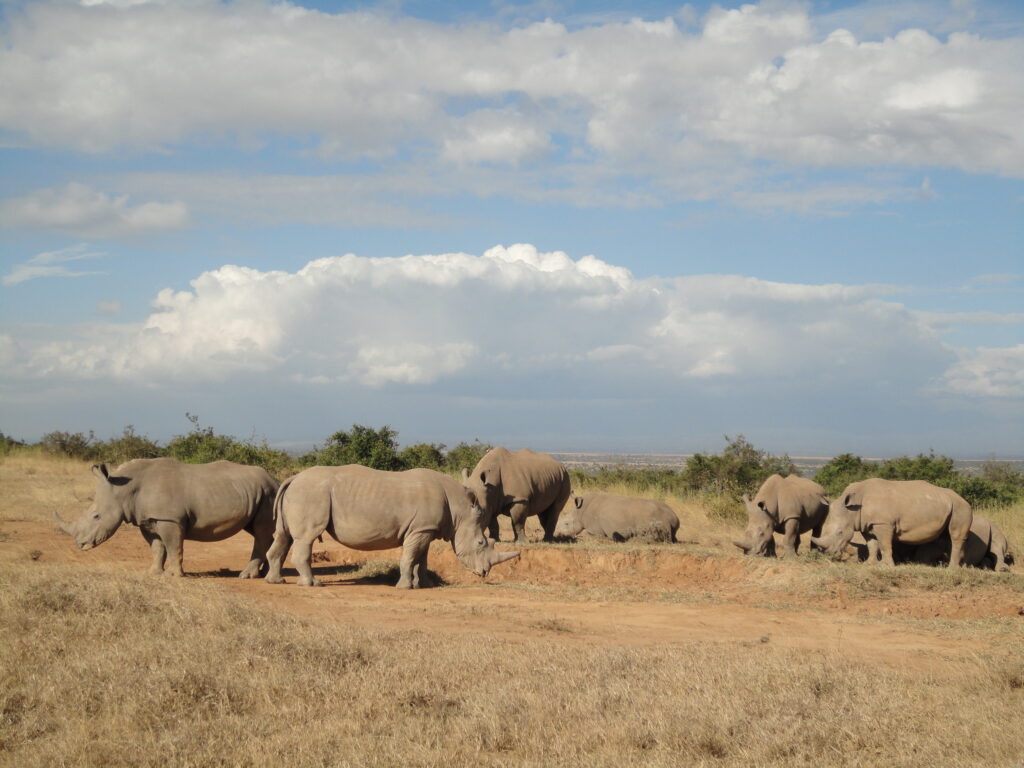 pics mara 473